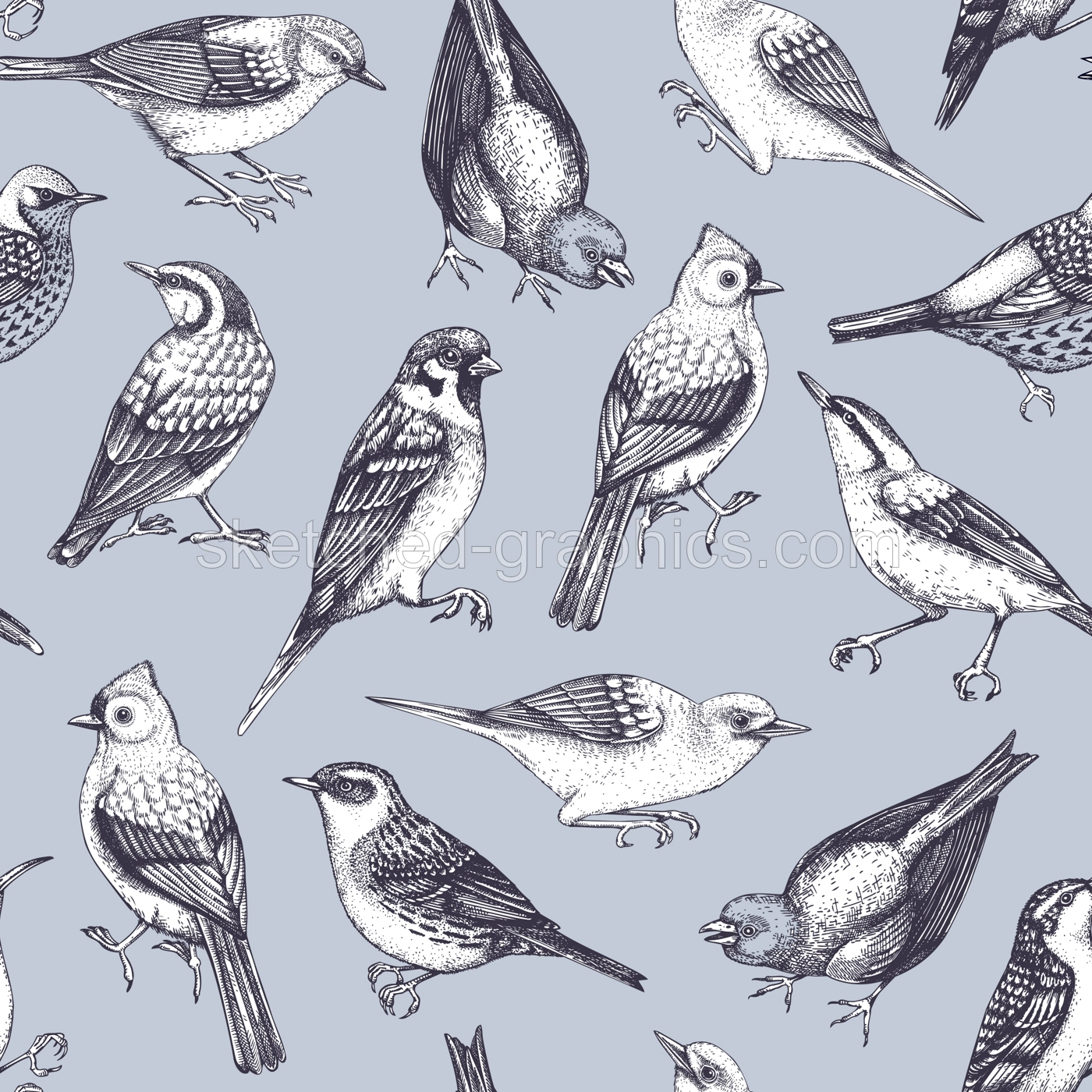 Hand drawn birds seamless pattern in engraved style. Backyard songbirds - eyebrowed thrush, titmouse, sparrow, great tit vector background. Detailed wildlife texture Illustration
